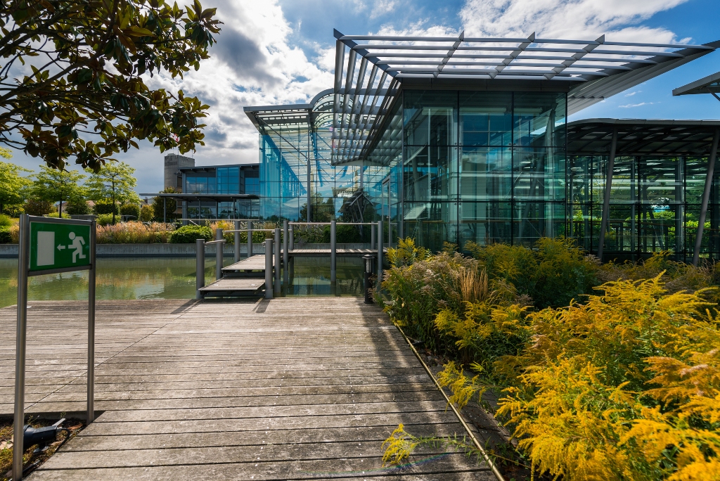 Campus bellerive (ge)